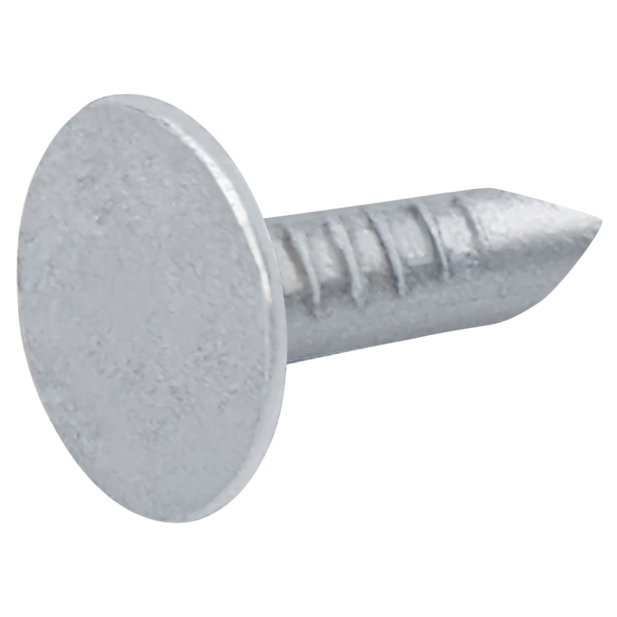 Diall Galvanised Clout nail (L)12mm (Dia)3mm 1kg