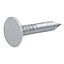 Diall Galvanised Clout nail (L)20mm (Dia)3mm 1kg