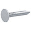 Diall Galvanised Clout nail (L)20mm (Dia)3mm 2kg