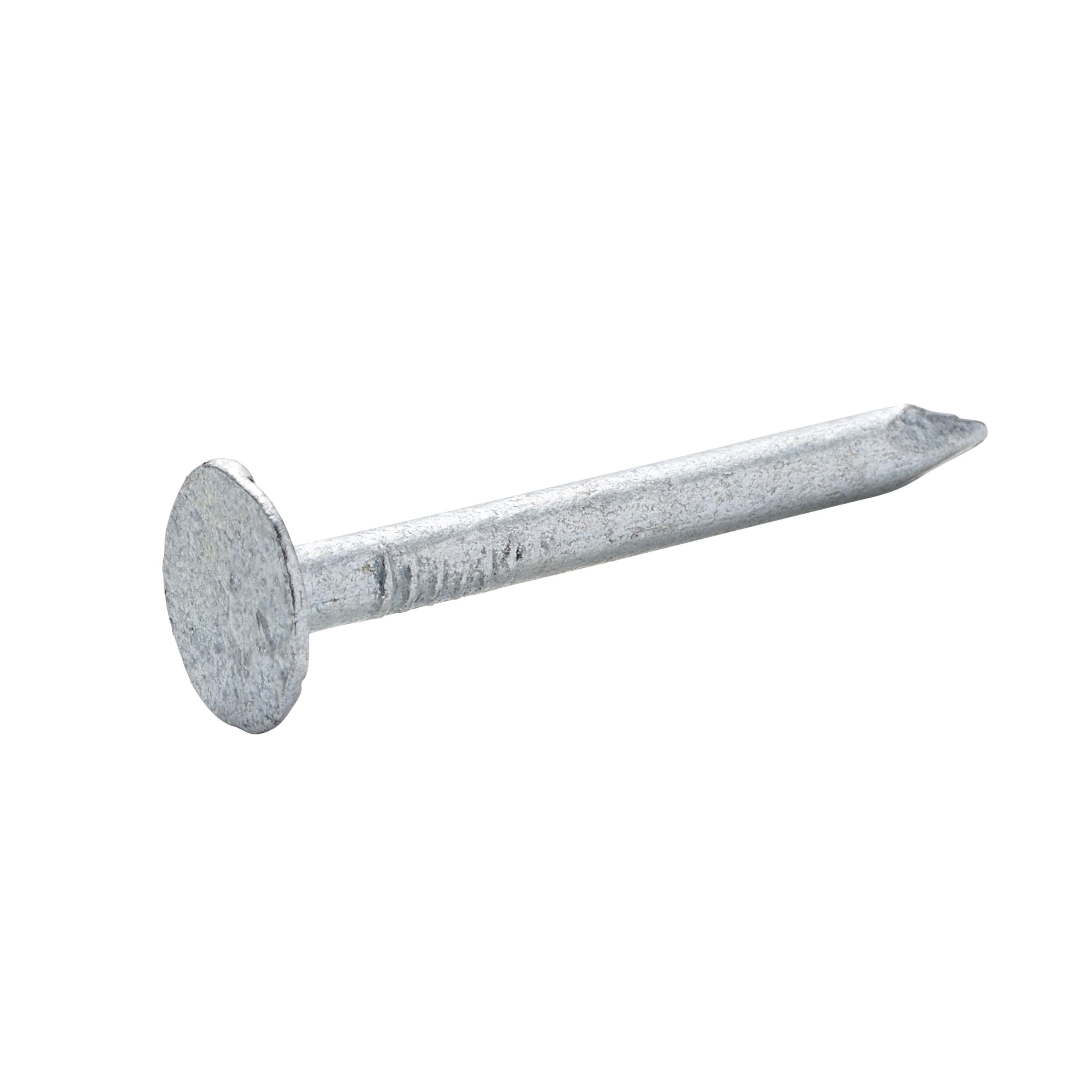 Diall Galvanised Clout nail (L)30mm (Dia)3mm 125g