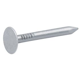 Diall Galvanised Clout nail (L)30mm (Dia)3mm 2kg