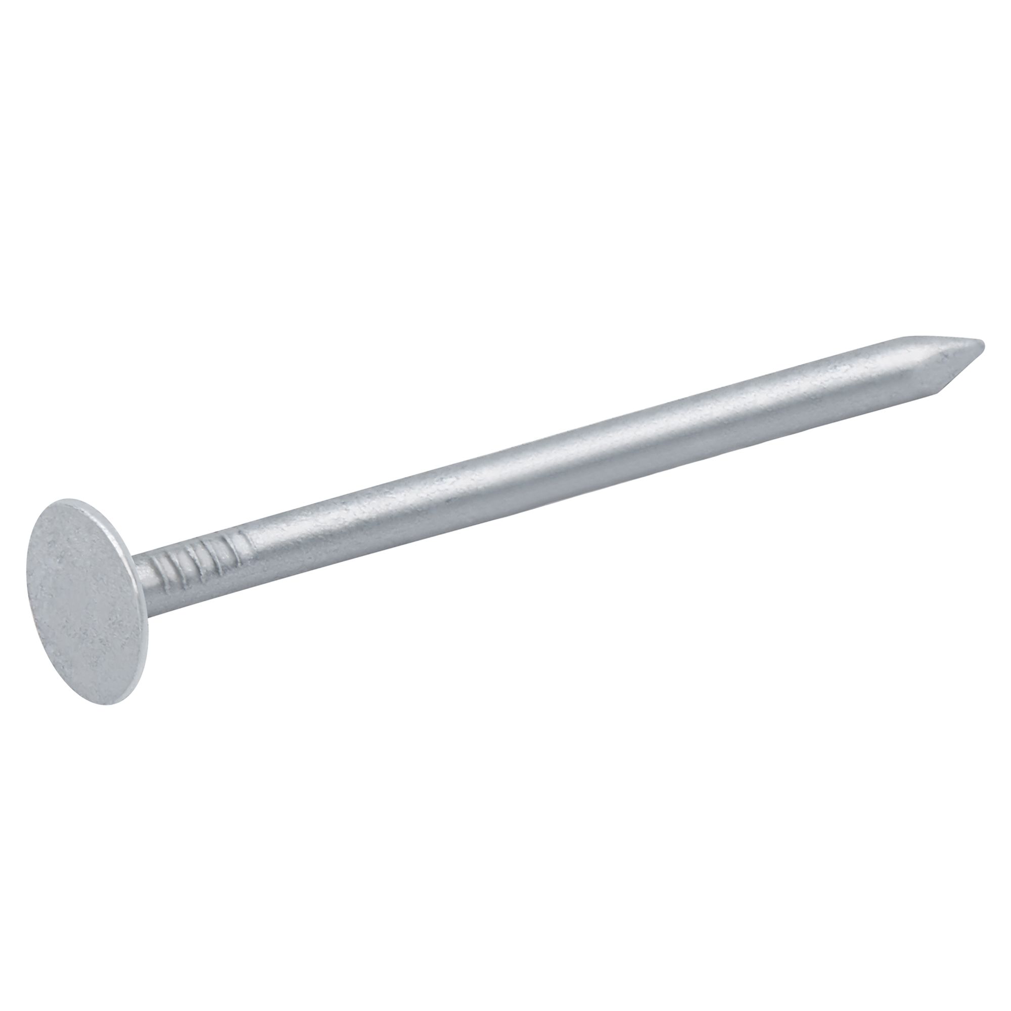 Diall Galvanised Clout nail (L)50mm (Dia)3mm 2kg