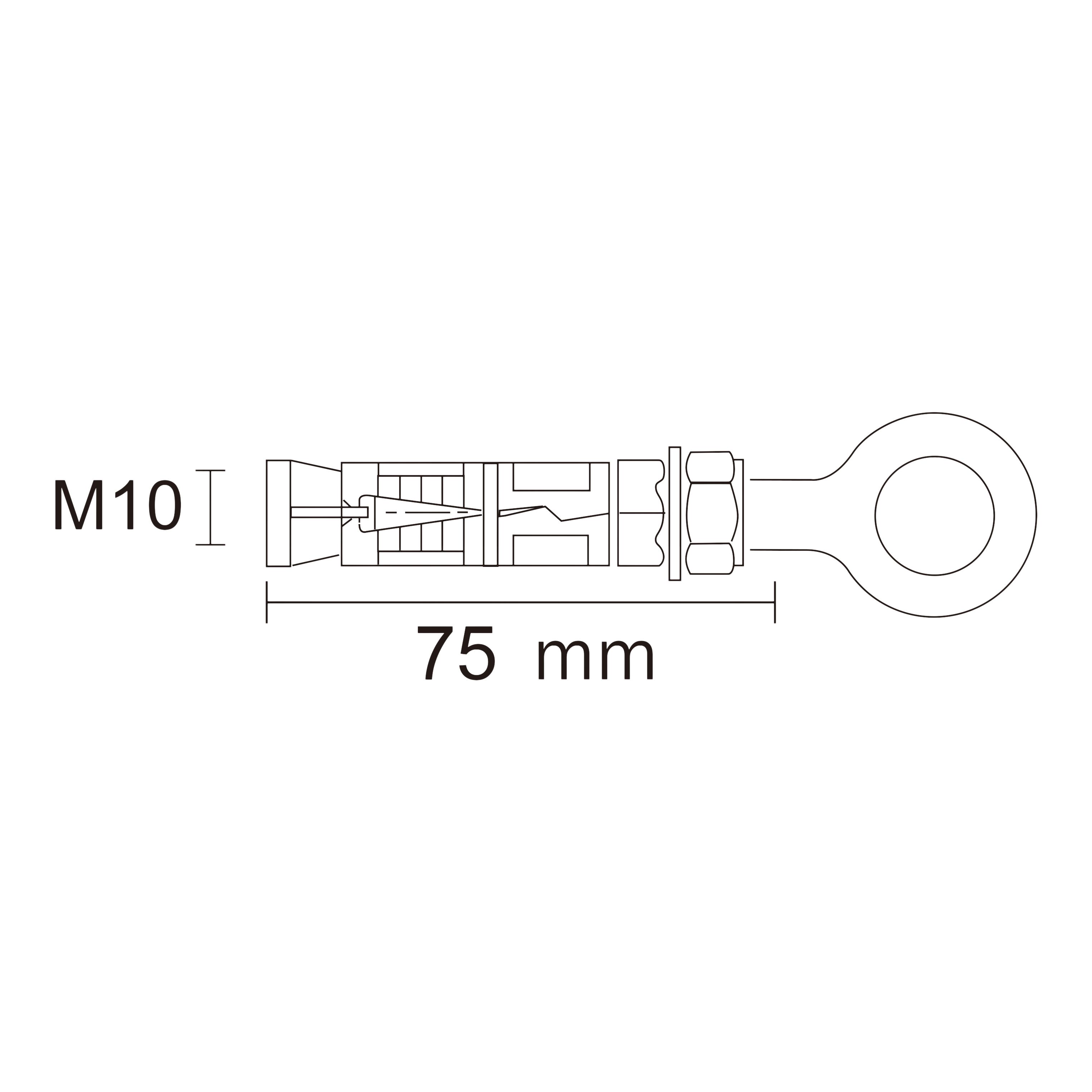 Diall M10 Hex O-hook Steel Shield anchor (L)75mm, Pack of 2