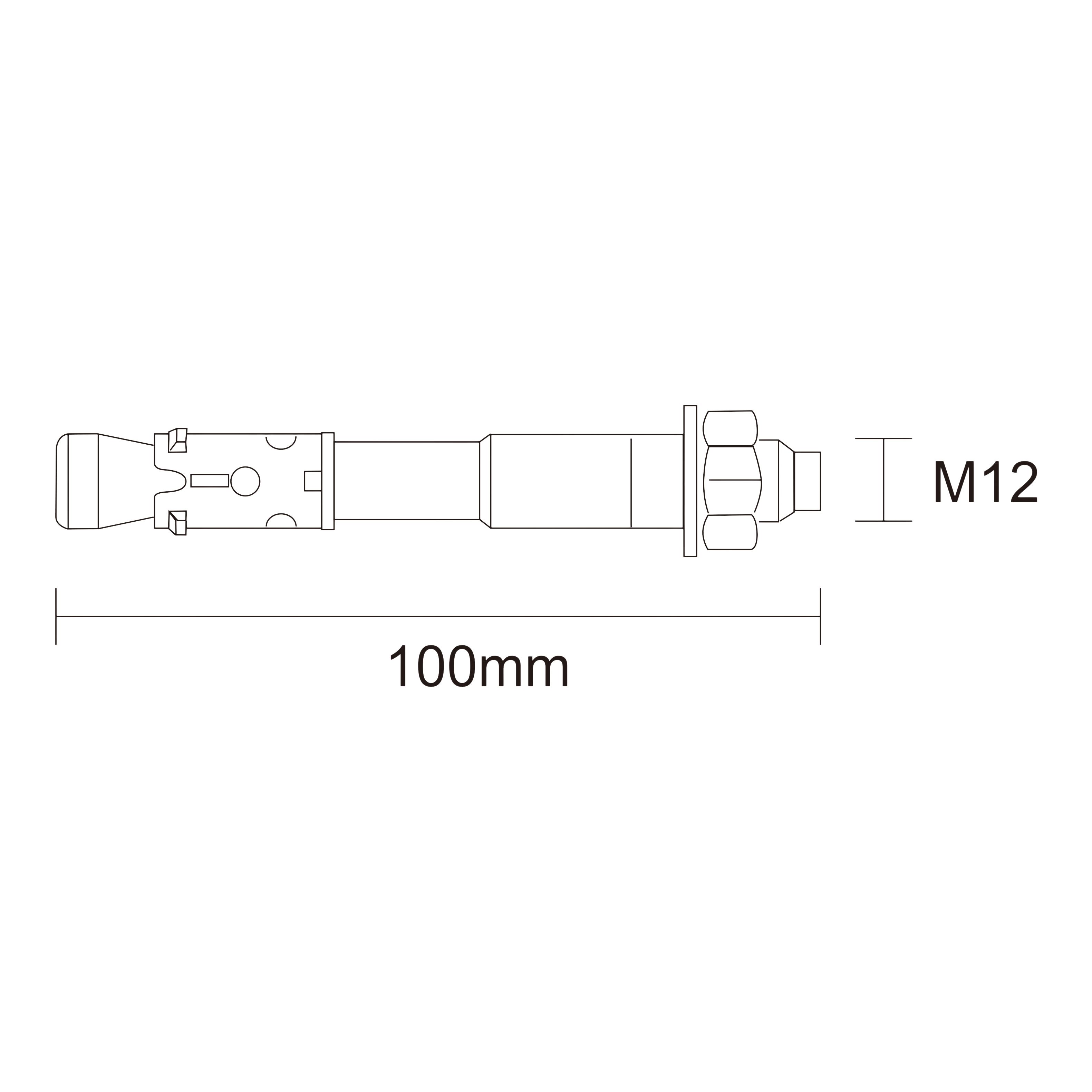 Diall M12 Steel Through bolt, nut & washer (L)100mm, Pack of 2