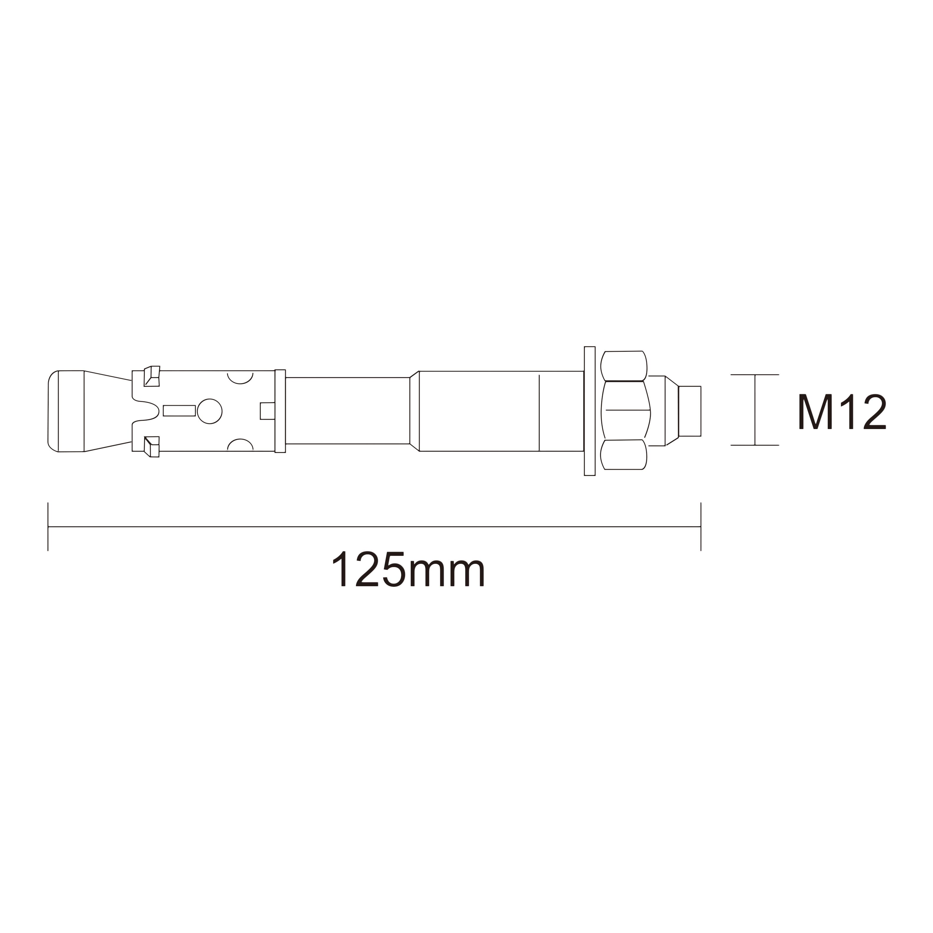 Diall M12 Steel Through bolt, nut & washer (L)125mm, Pack of 2