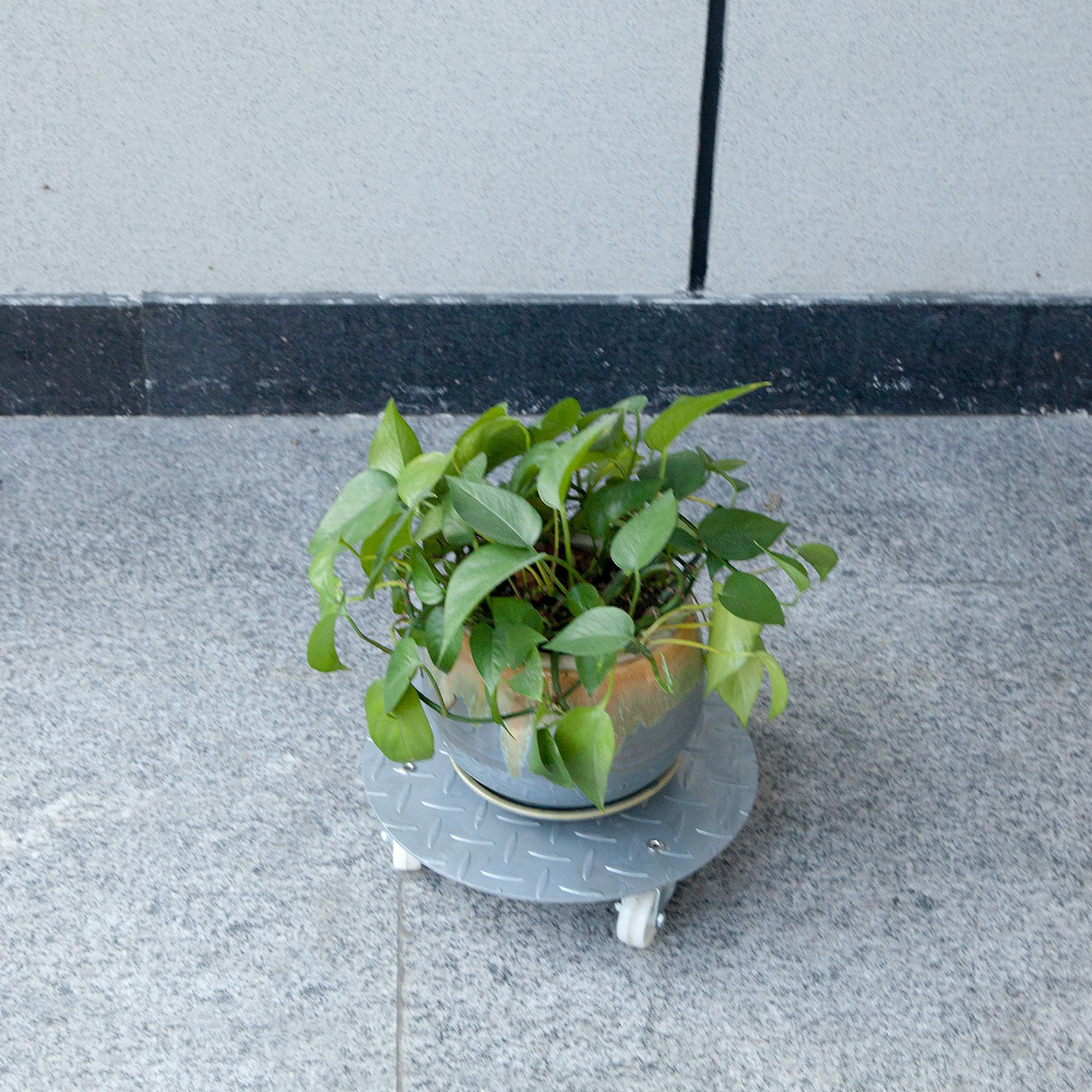 Diall Metal Pot mover 150kg (Max)