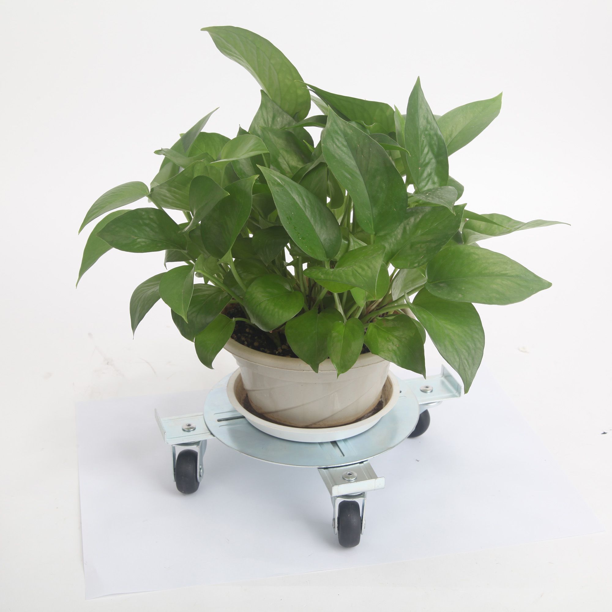 Diall Pot mover