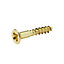 Diall Pozidriv Brass Screw (Dia)3.5mm (L)20mm, Pack of 25
