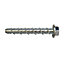 Diall Steel Bolt (L)60mm (Dia)6mm, Pack of 10