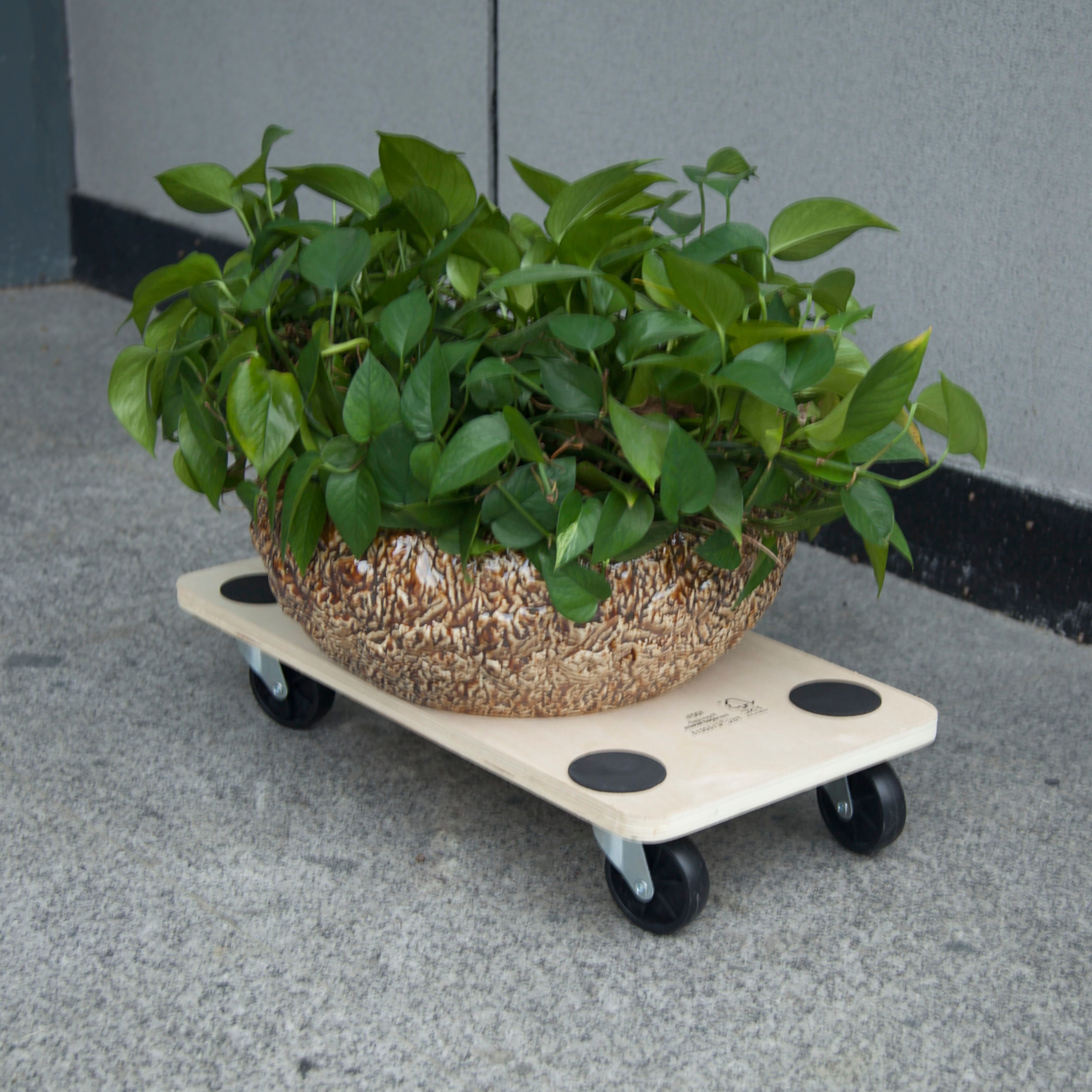 Diall Wood Dolly, 200kg capacity - TR13