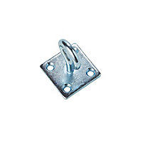 Diall Zinc-plated Steel Hook on plate