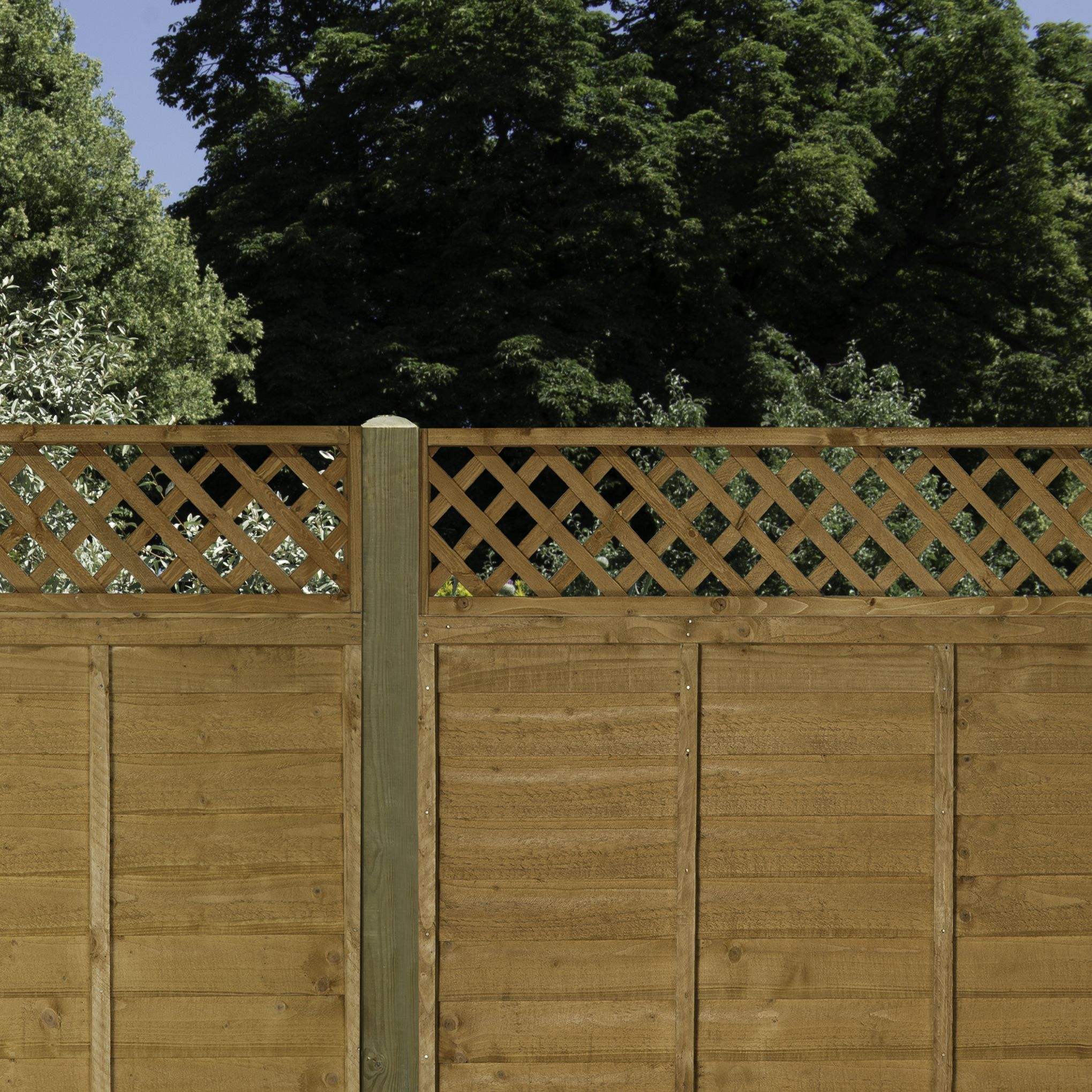 Diamond Pine Trellis panel, Pack of 5 (W)183cm x (H)32cm