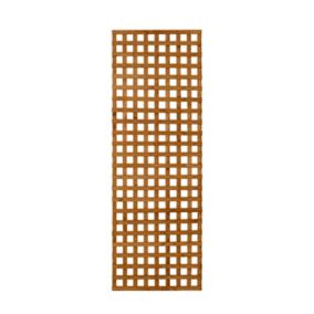 Dip treated Trellis panel (W)0.63m (H)1.83m