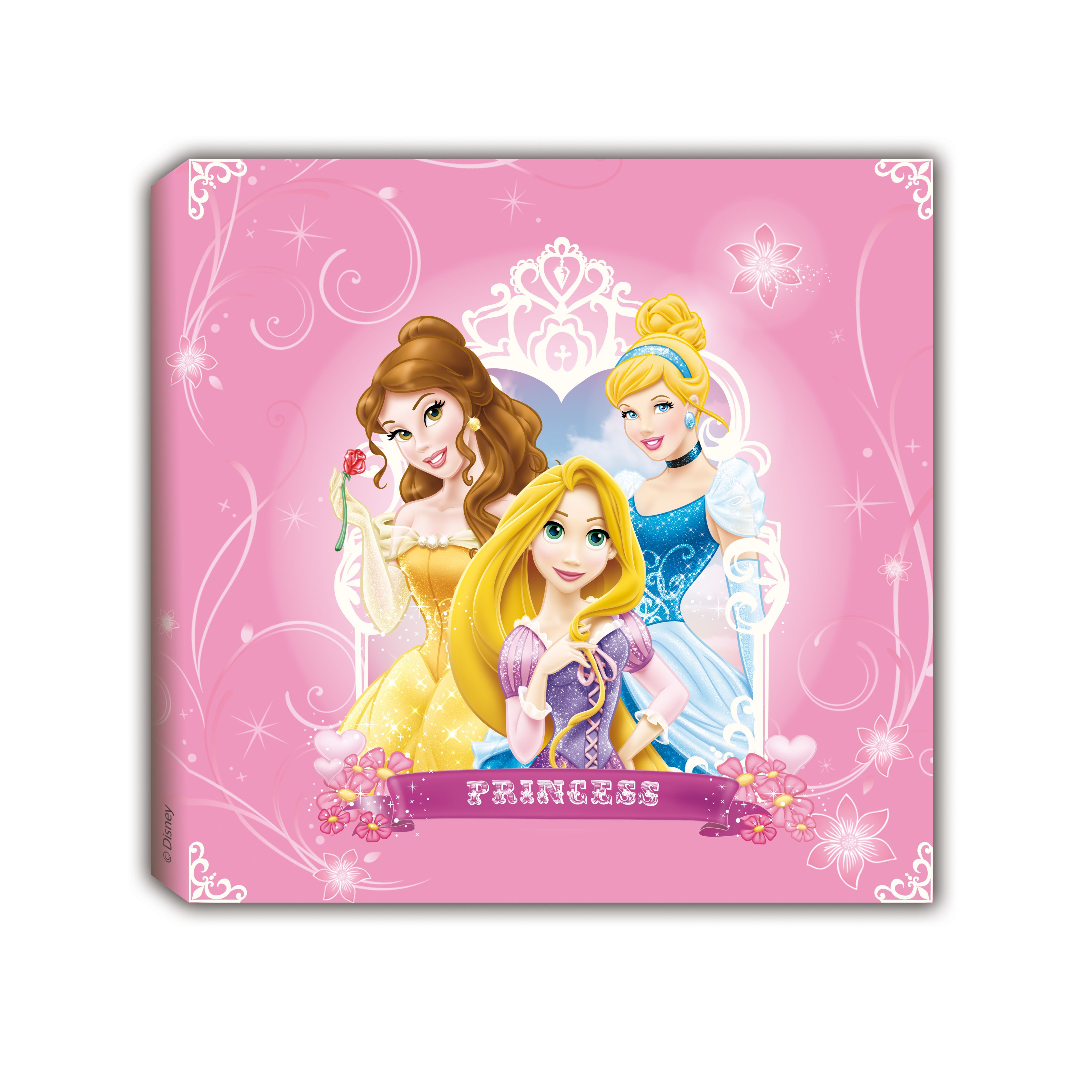 Disney Princess Pink Canvas art (H)200mm (W)200mm | DIY at B&Q