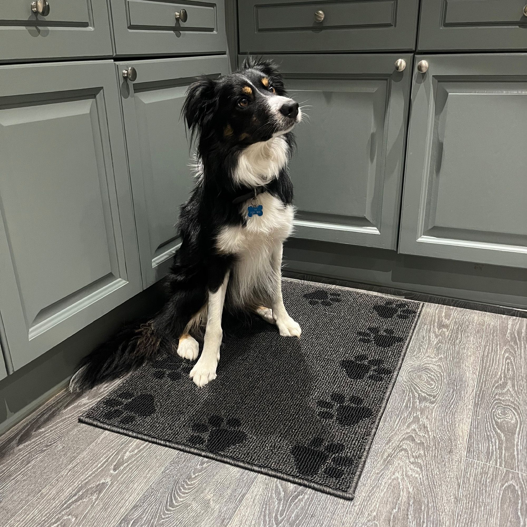 Doormat Grey Clean Paws Rectangular Door mat, 75cm x 44cm