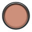 Dulux Easycare Copper blush Matt Emulsion paint, 2.5L