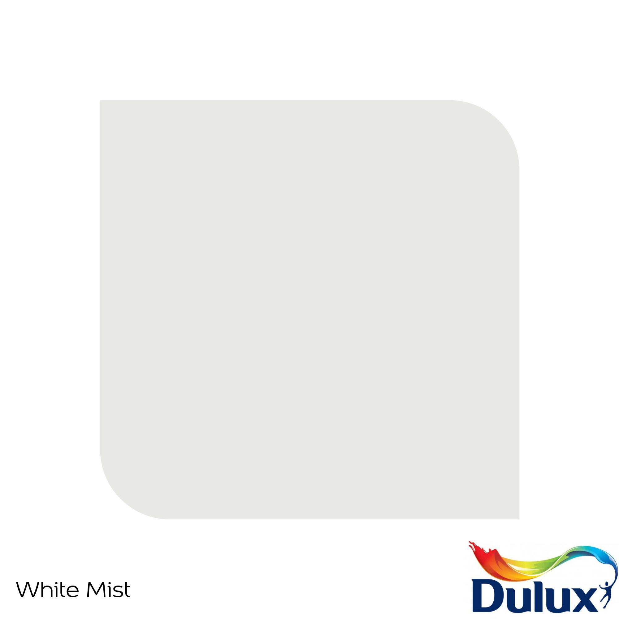 Dulux Easycare Kitchen White Mist Matt Wall paint, 30ml