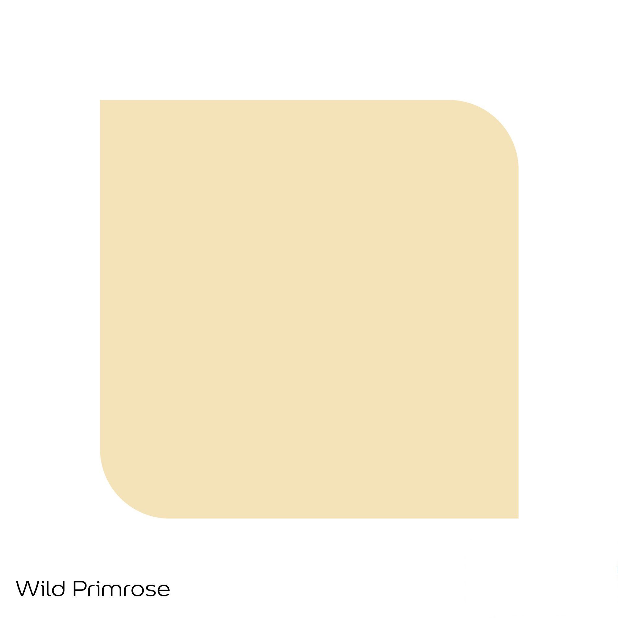 Dulux Easycare Wild Primrose Matt Emulsion Paint, 30ml DIY, 58 OFF