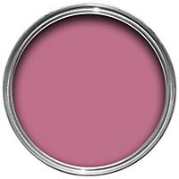 Dulux Made by me Fondant fancy pink Gloss Multipurpose paint 0.25L