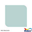 Dulux Standard Mint macaroon Matt Emulsion paint, 30ml