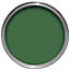 Dulux Weathershield Buckingham green Gloss Exterior Metal & wood paint, 750ml