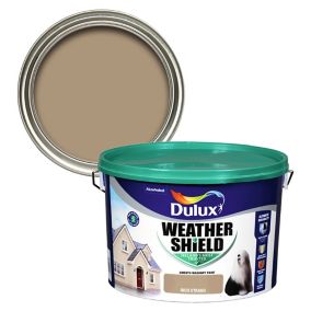 Dulux Weathershield Inch strand Smooth Super matt Masonry paint, 10L