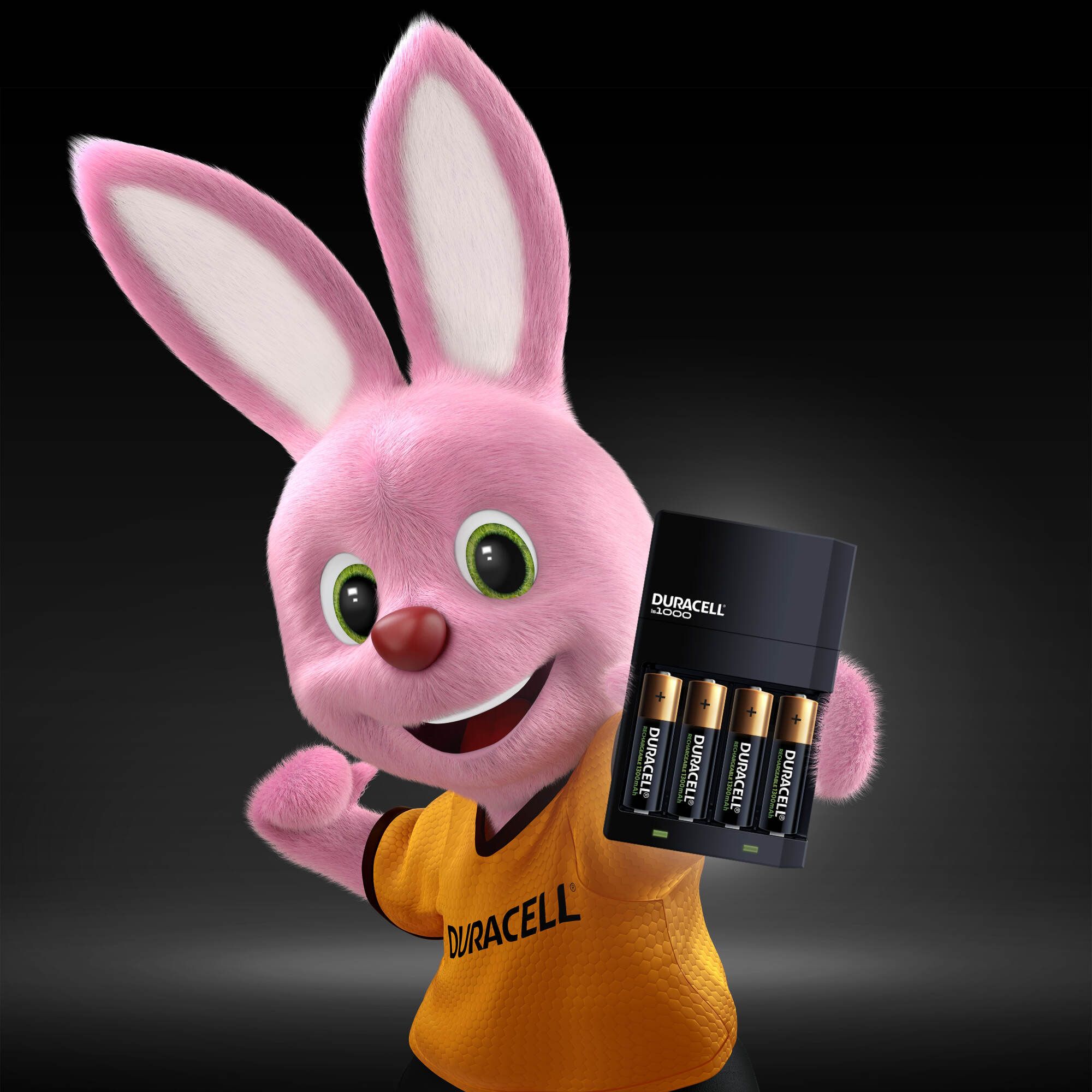 Duracell 240V Battery charger - 3