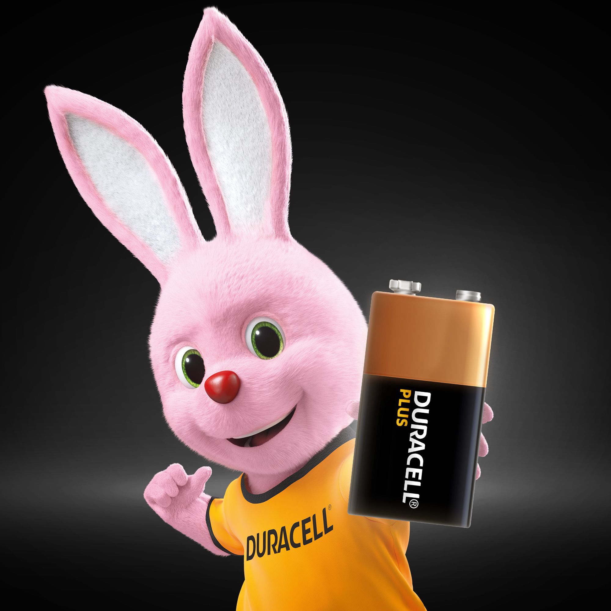 Duracell Plus AAA Alkaline Alkaline Batteries 20 Pack