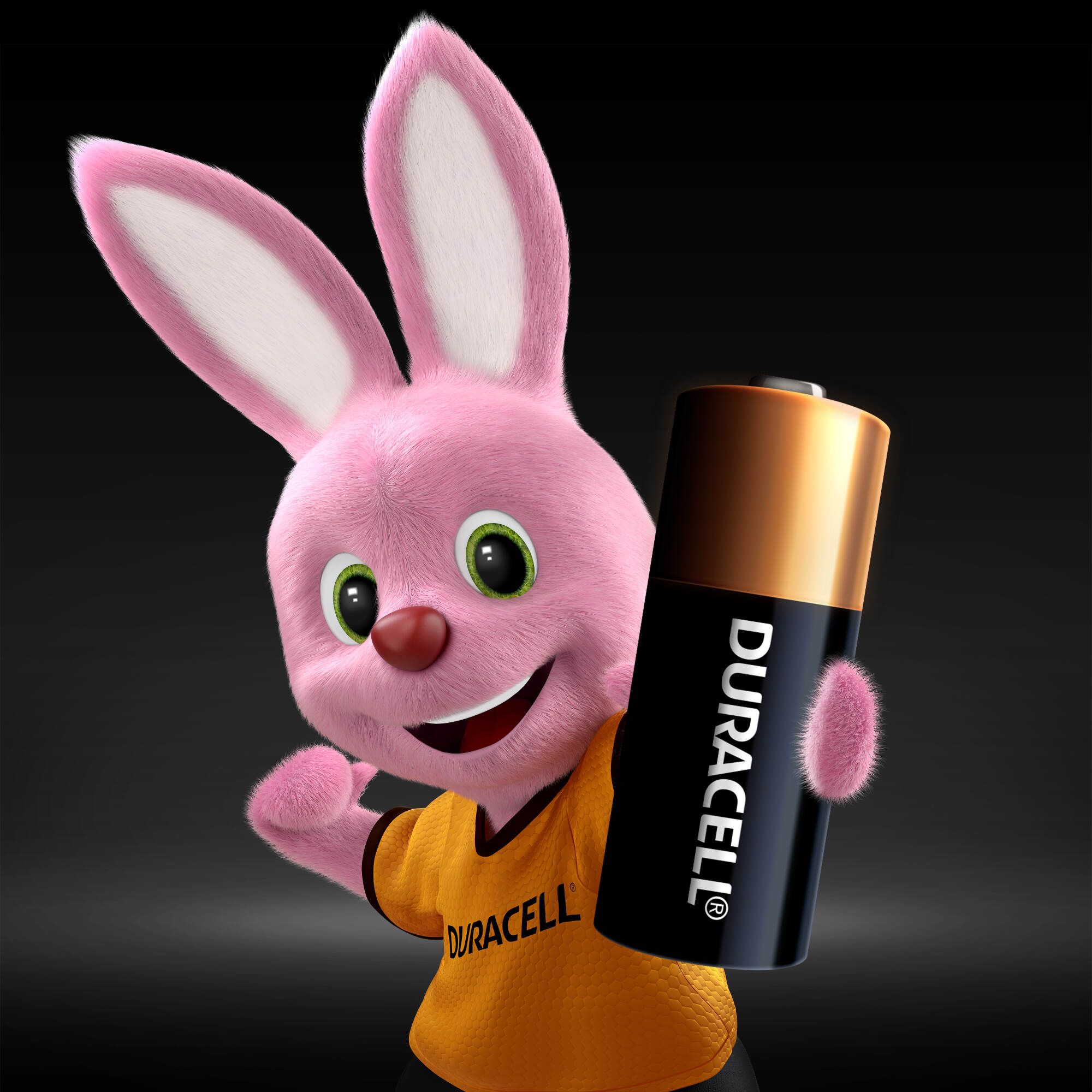 Duracell Security MN21 Batteries, Pack of 2