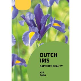 Dutch Iris Sapphire Beauty 15 Flower bulbs