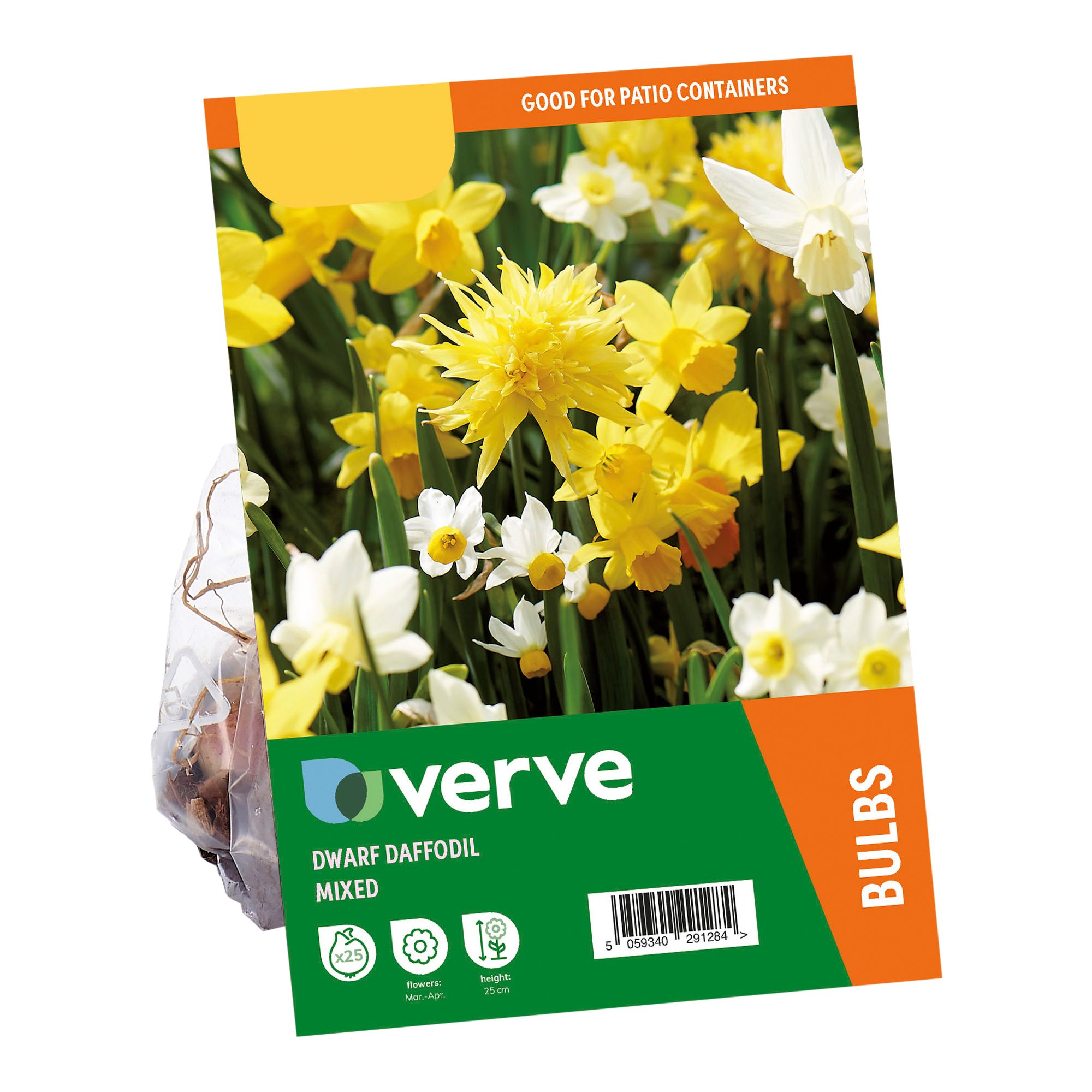 Dwarf Daffodil Mix 25 Flower bulbs