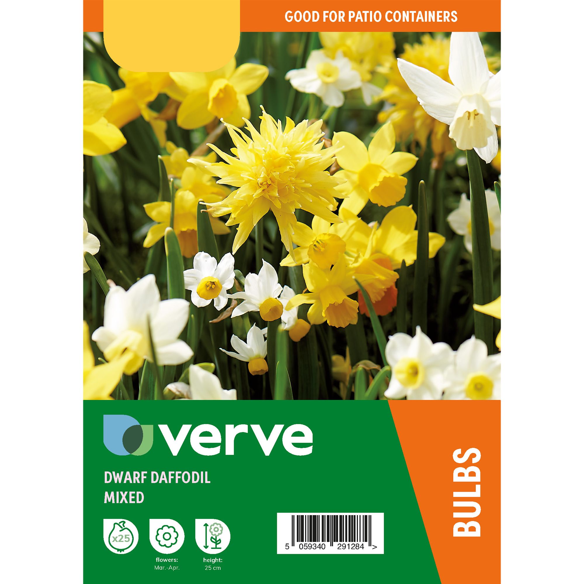 Dwarf Daffodils Mixed Flower Bulb, Pack Of 25 | DIY At B&Q