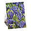 Dwarf iris harmony Flower bulb, Pack of 15