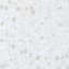 Earthstone Gemini White Granite effect Acrylic Splashback, (H)610mm (W)760mm (T)6mm