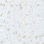 Earthstone Gemini White Granite effect Acrylic Upstand (L)1800mm