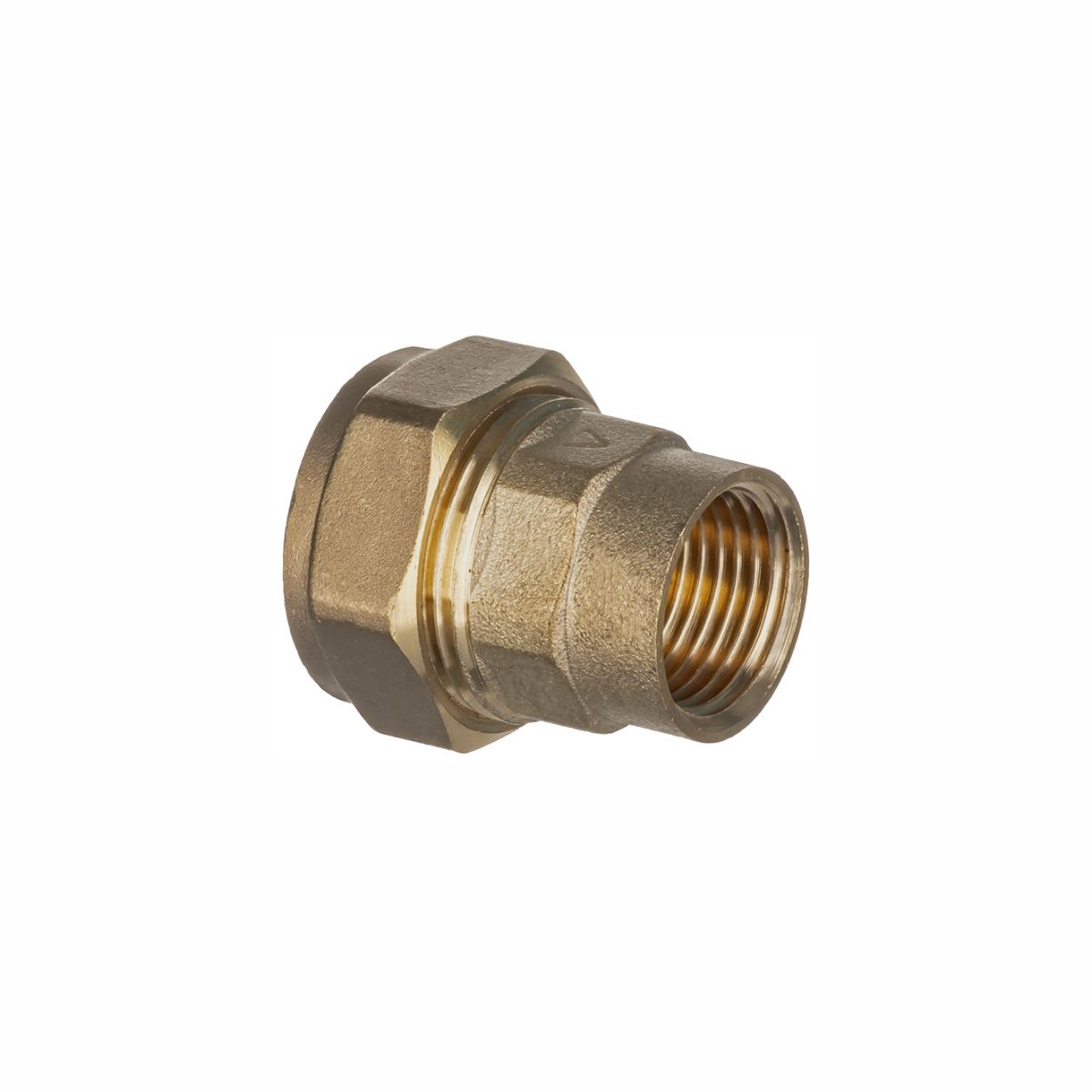 Easi Plumb Brass Fittings Bronze Female Straight Reducing Coupler (Dia)19.05mm (L)34mm 1"