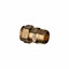 Easi Plumb Brass Fittings Male Compression Straight Reducing Coupler (Dia)22mm x ¾"