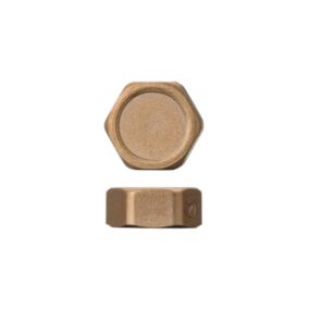 Easi Plumb Brass Round Compression Blanking cap (Dia)21mm ¾"