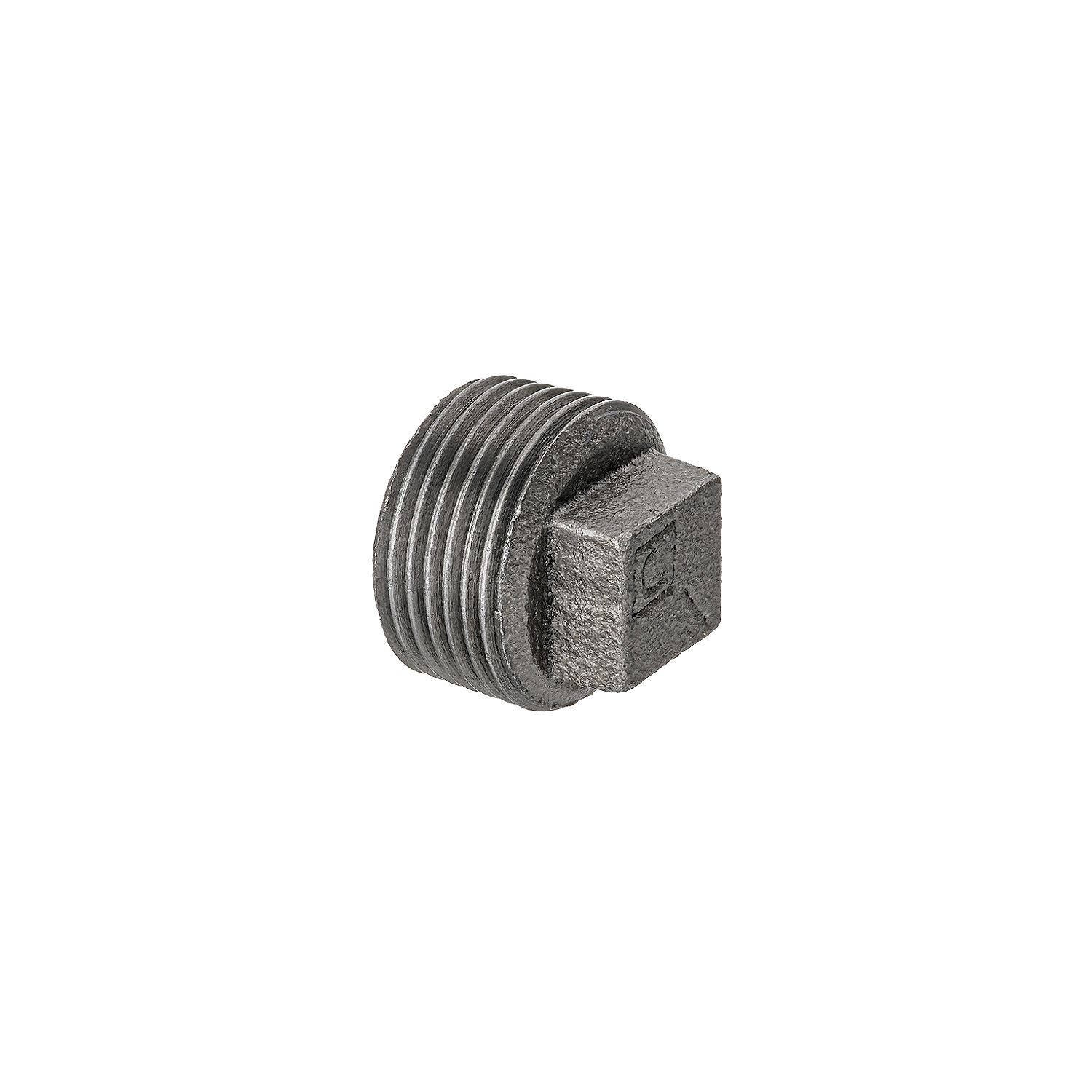 Easi Plumb Malleable cast iron Round Threaded Blanking plug (Dia)27.4mm 1