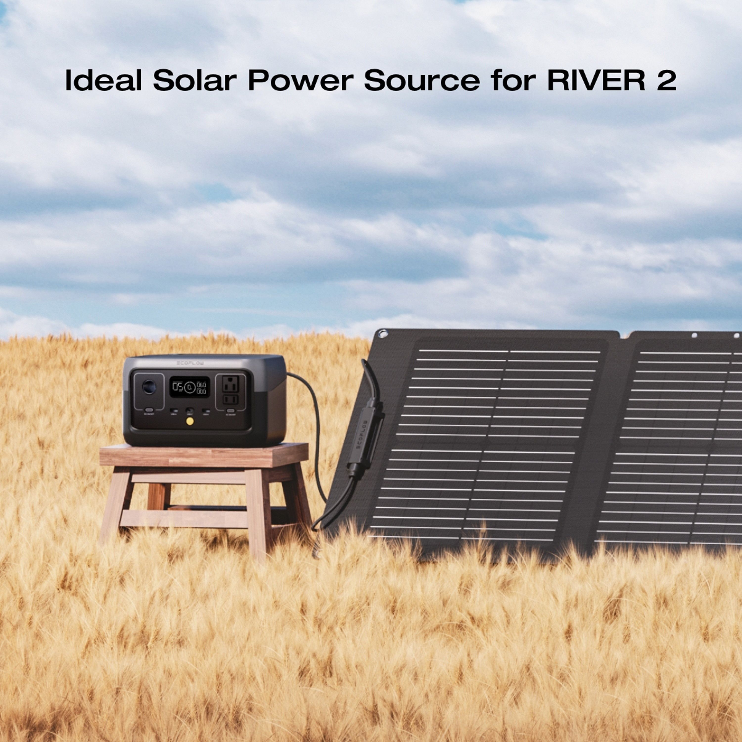 EcoFlow EFSOLAR110N Portable Black Solar panel