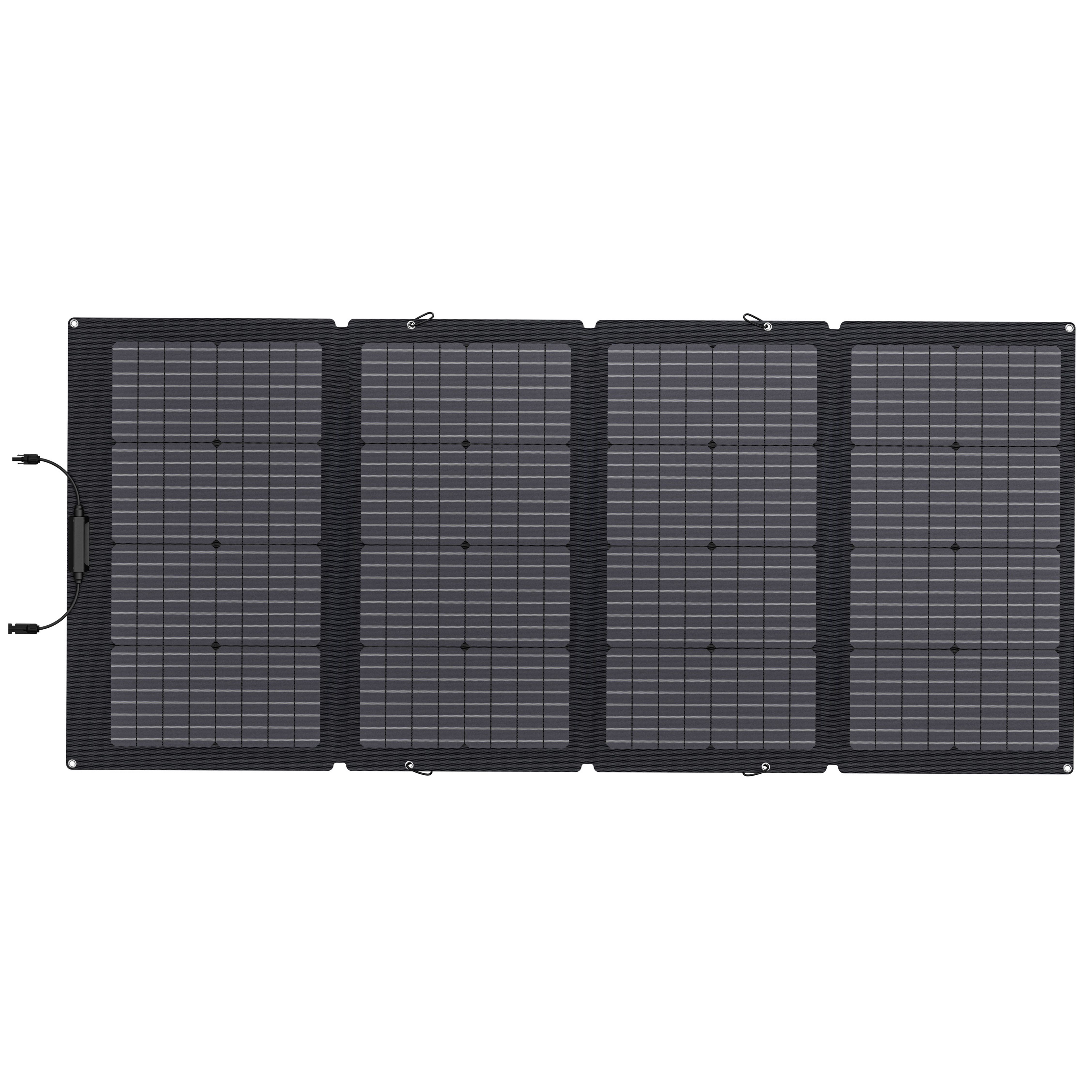 EcoFlow SOLAR220W Portable Black Solar panel
