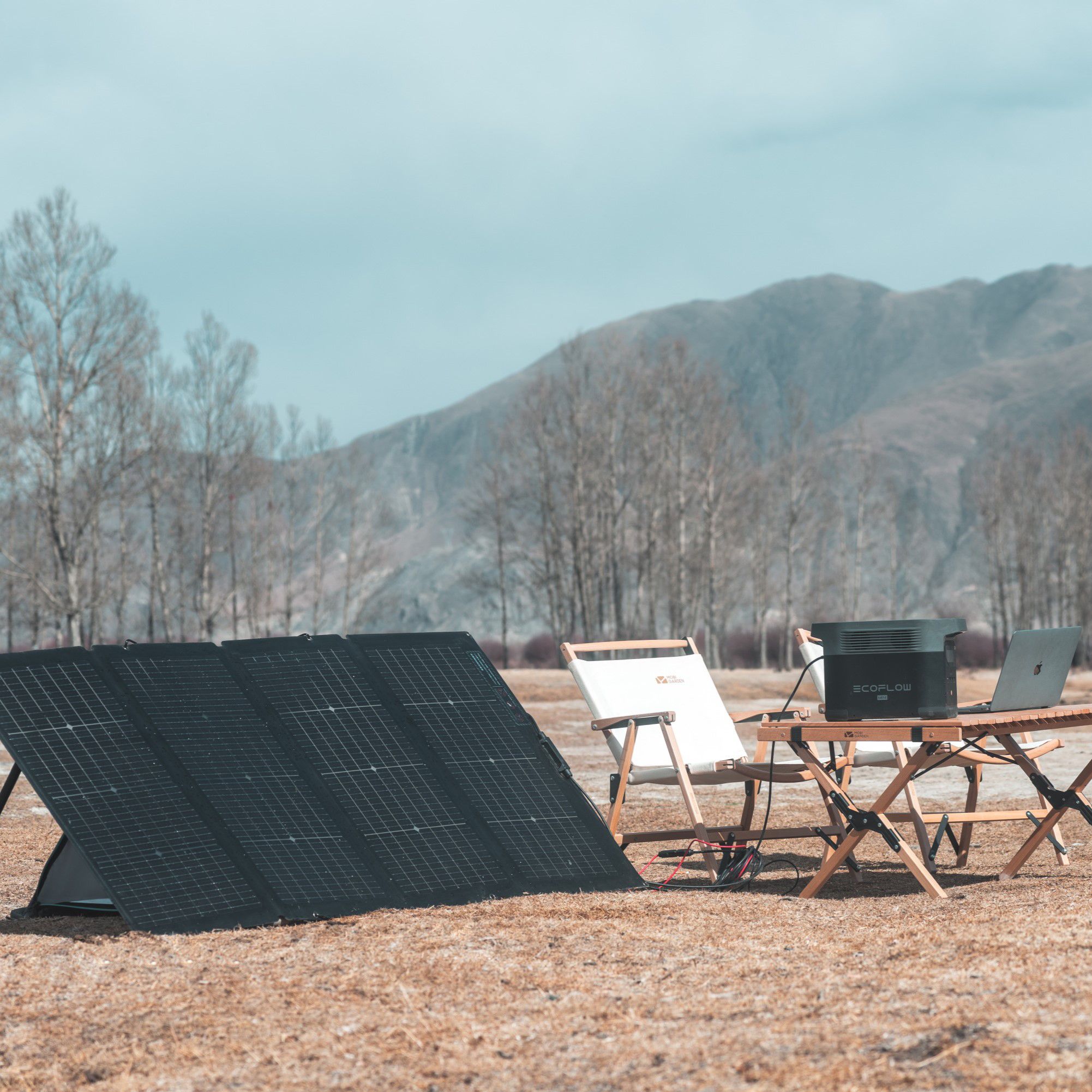 EcoFlow SOLAR220W Portable Black Solar panel