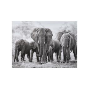 Elephant Grey & white Canvas art (H)50cm x (W)70cm