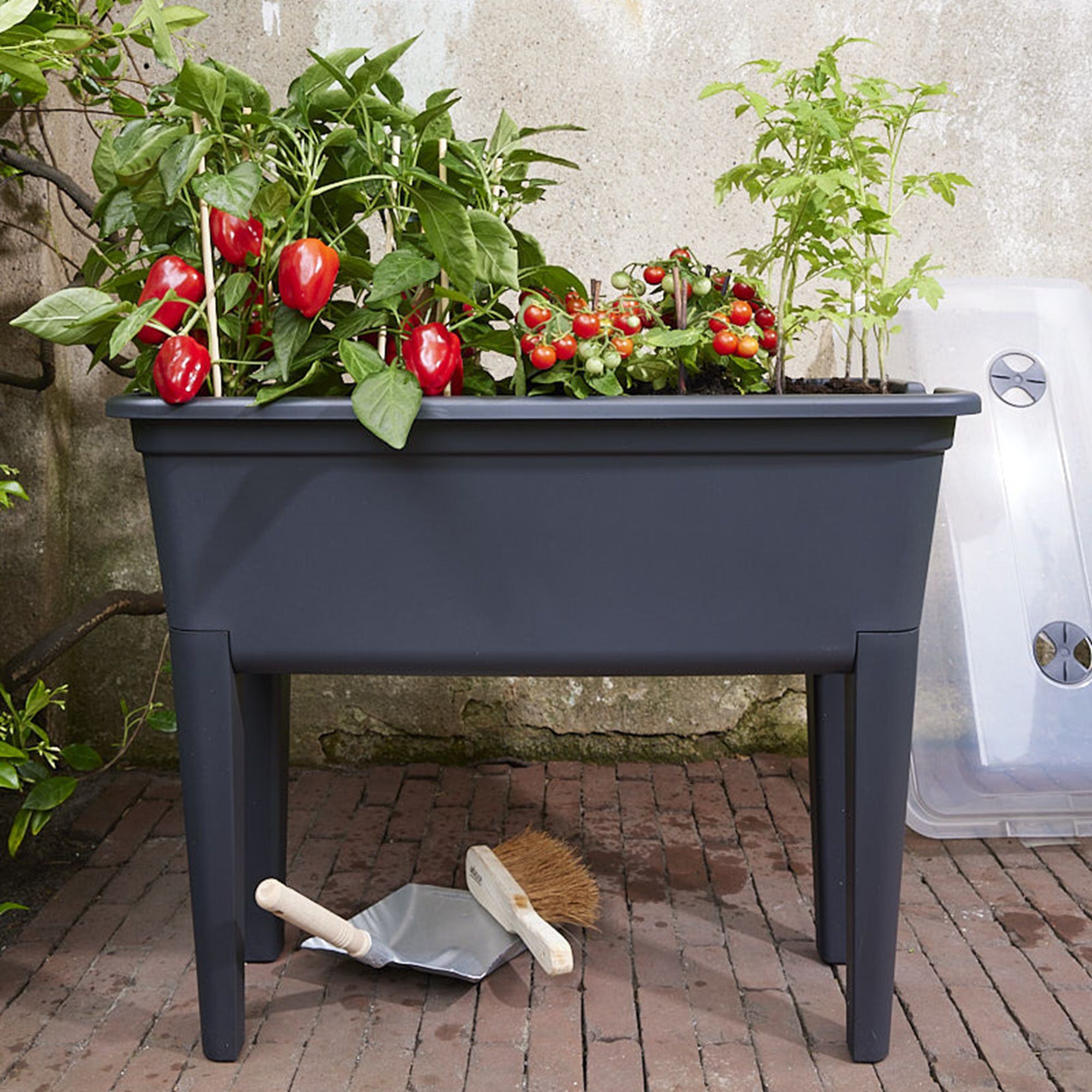 Elho Easyday Seedling Grow table (H)800mm (L)760mm (W)370mm, 50L