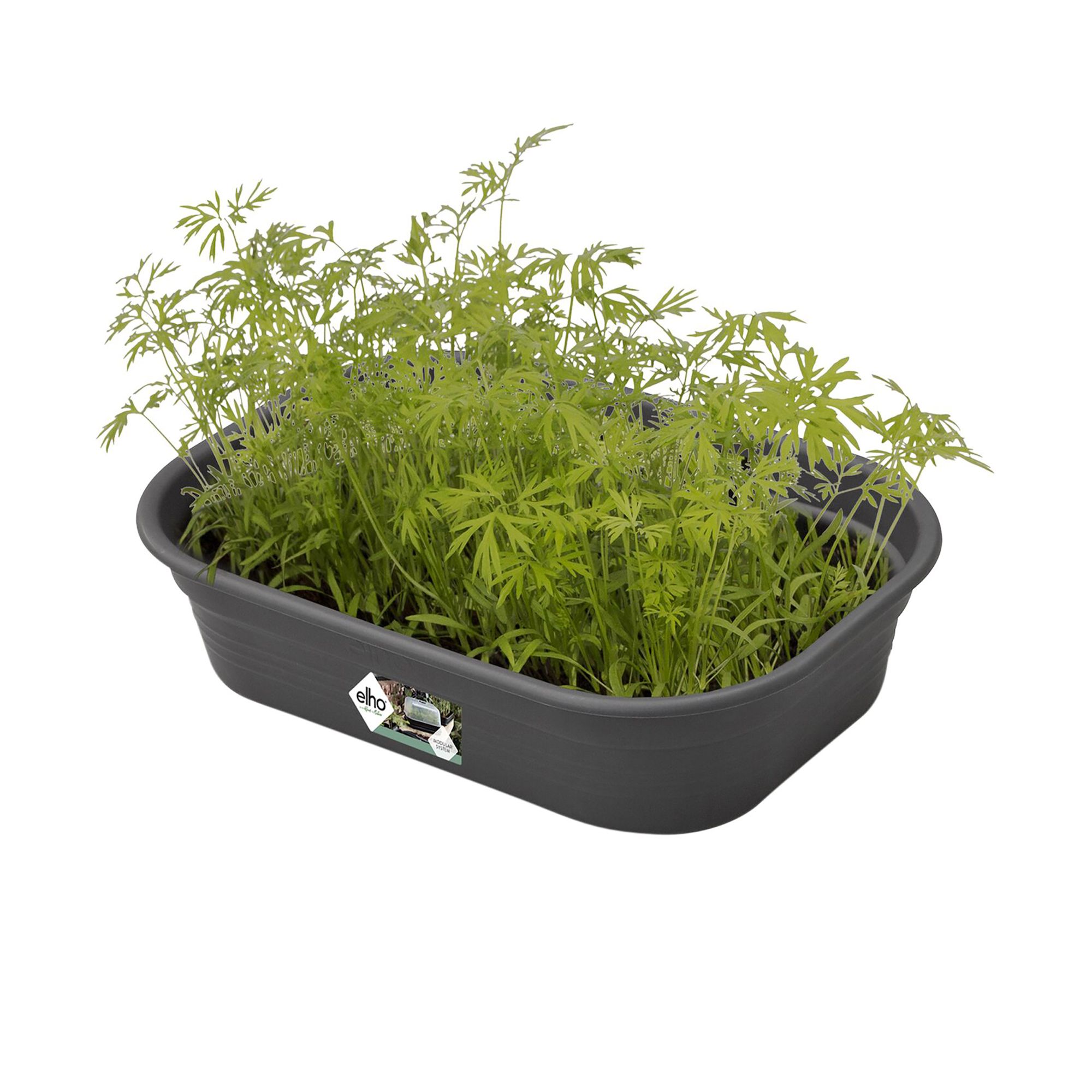 Elho Green Basics Small Seed Tray (L)24cm 170mm