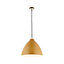 Elway Brown Chrome effect Ceiling light