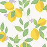 Envy Feeling Fruity Fresh Lemon Smooth Wallpaper Sample