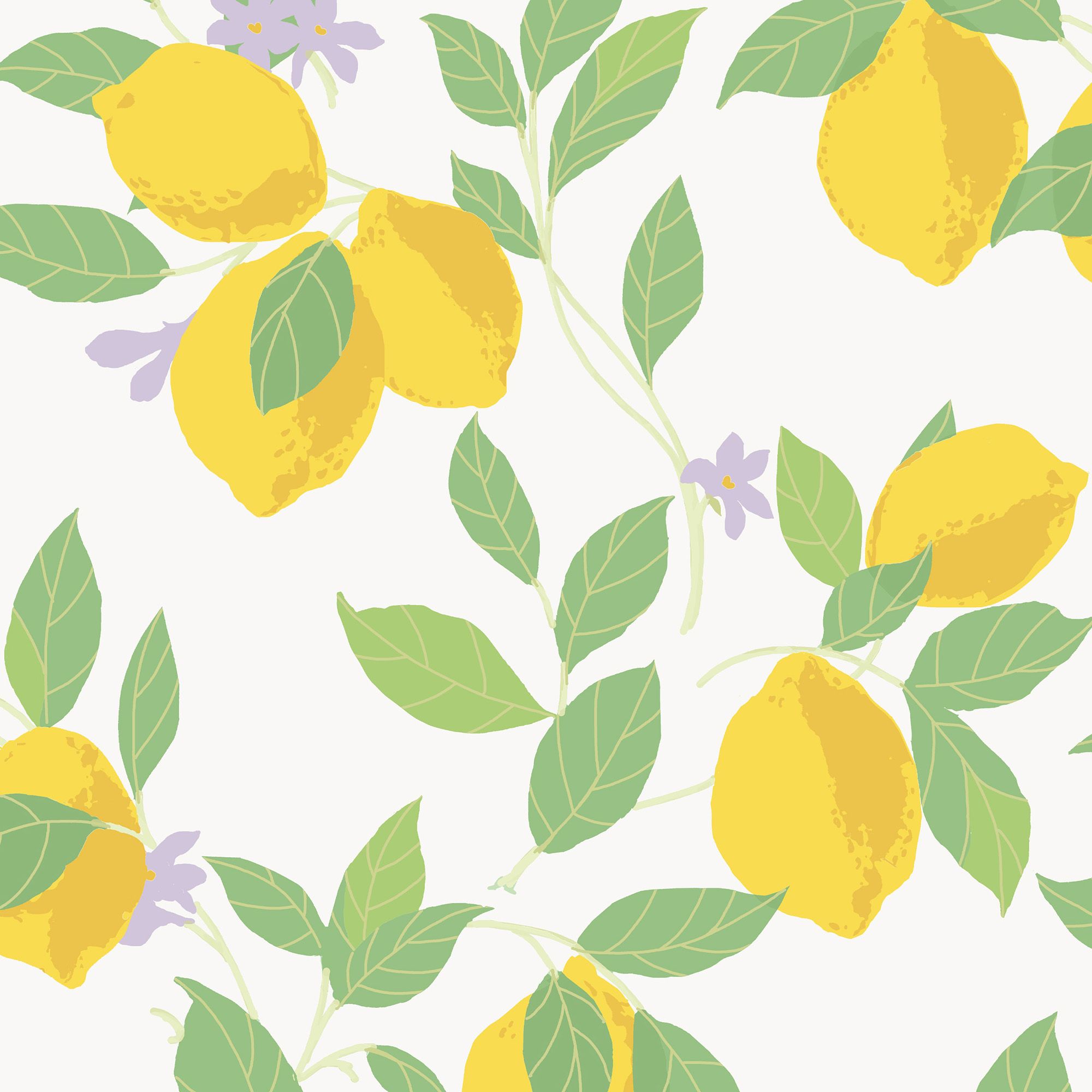 Envy Feeling Fruity Fresh Lemon Smooth Wallpaper