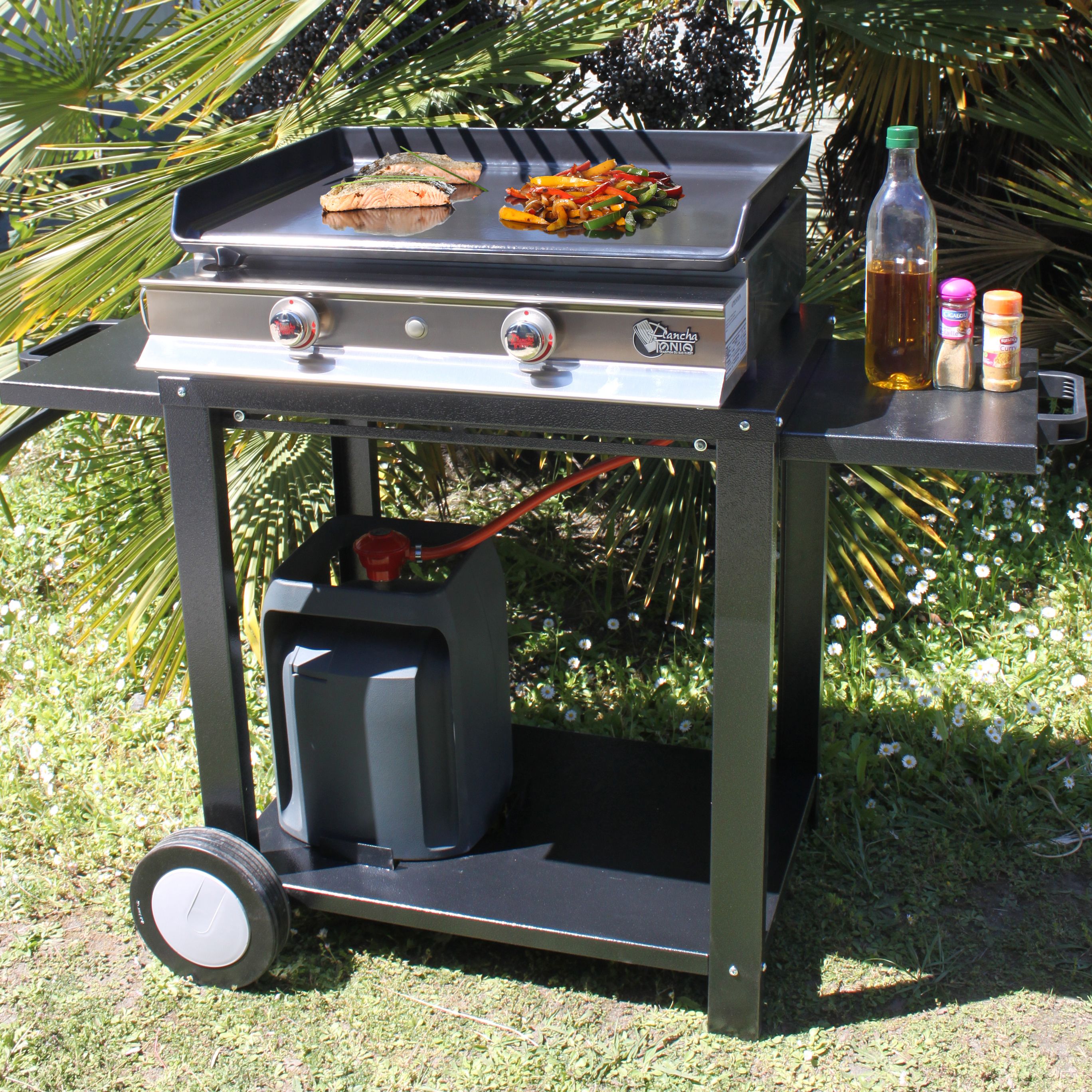 EPOXY STEEL TROLLEY FOR PLANCHAS 1 TO 2