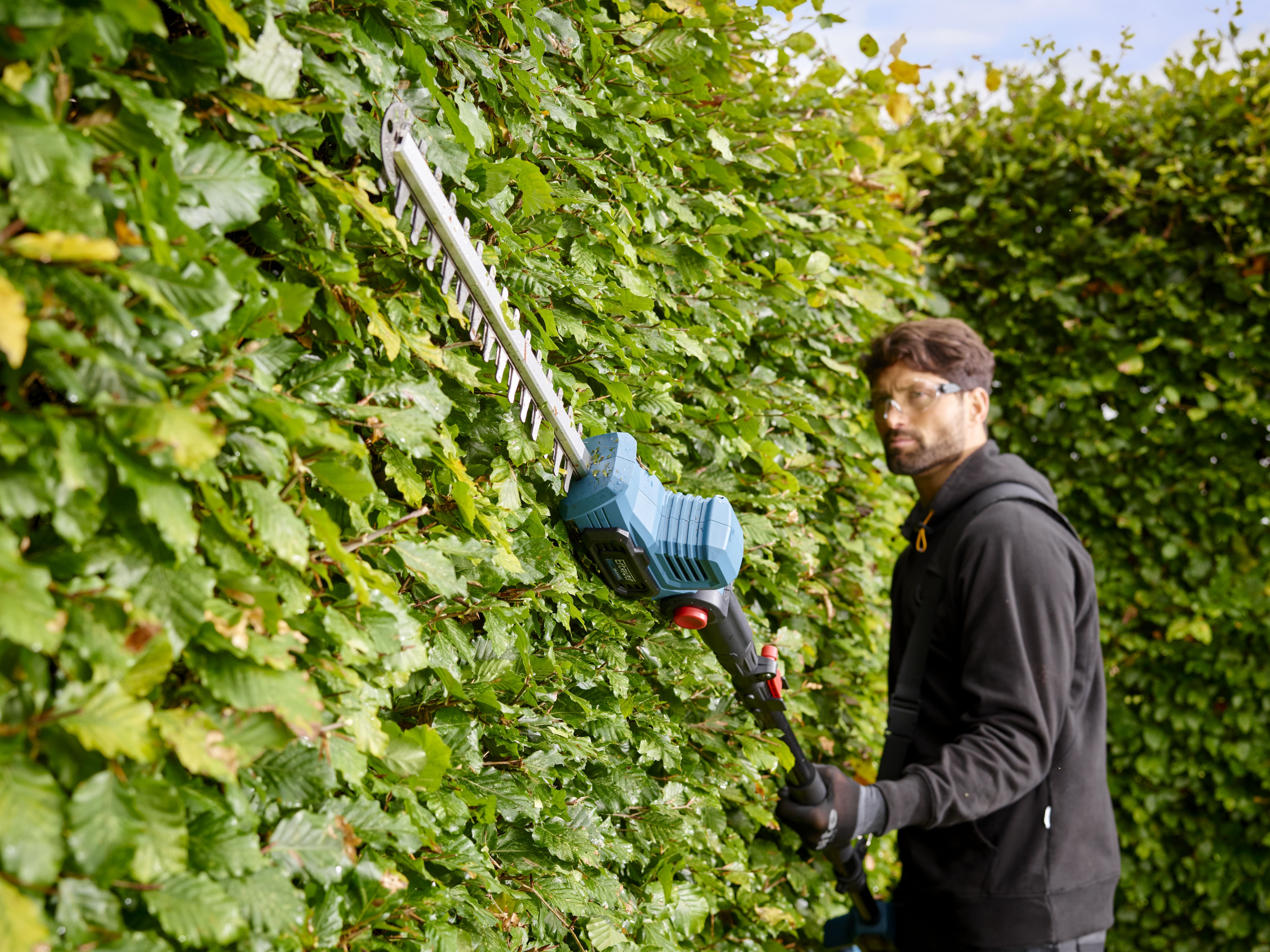 Erbauer long reach hedge trimmer sale